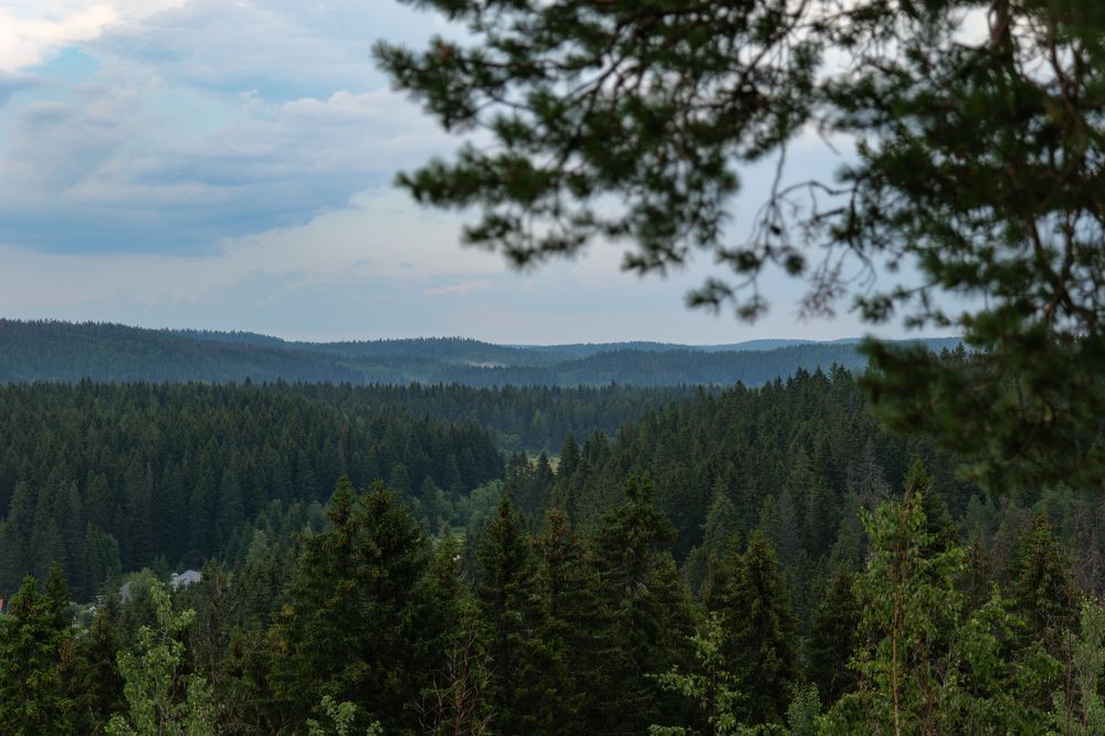 Photograph by  Максим