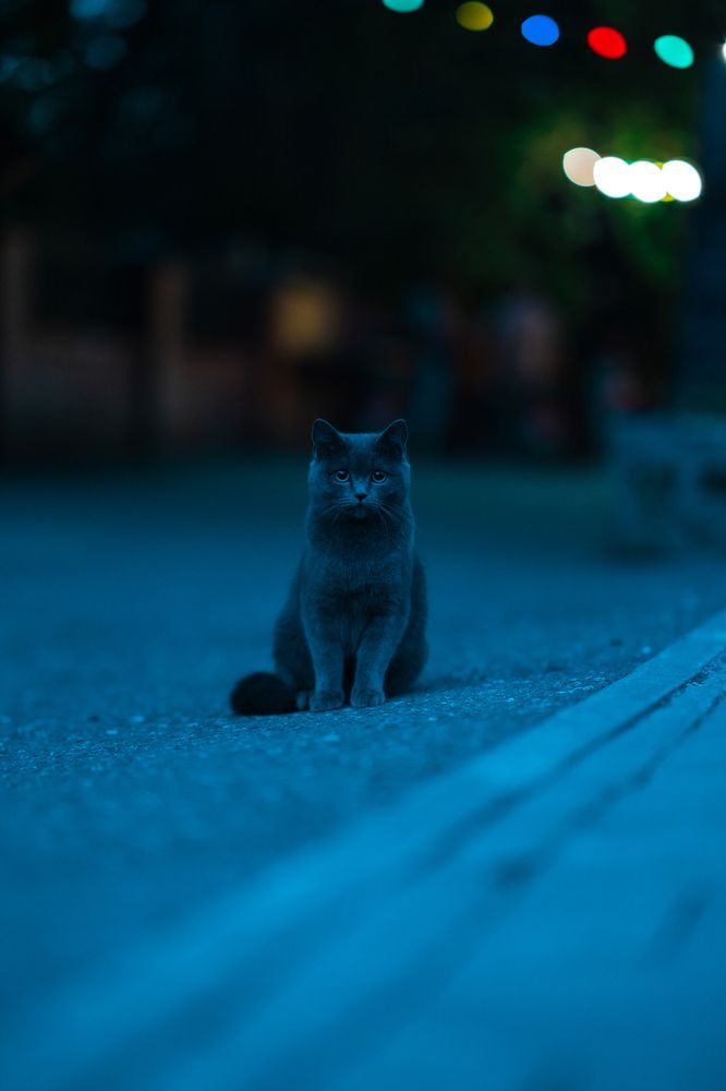 Photograph by Андрей Курган