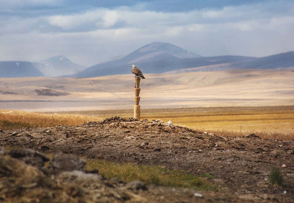 Фотография автора Ксения Зайцева