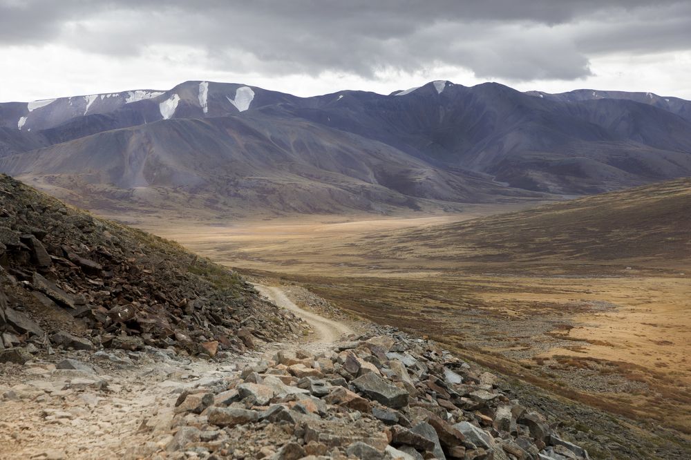 Фотография автора Ксения Зайцева