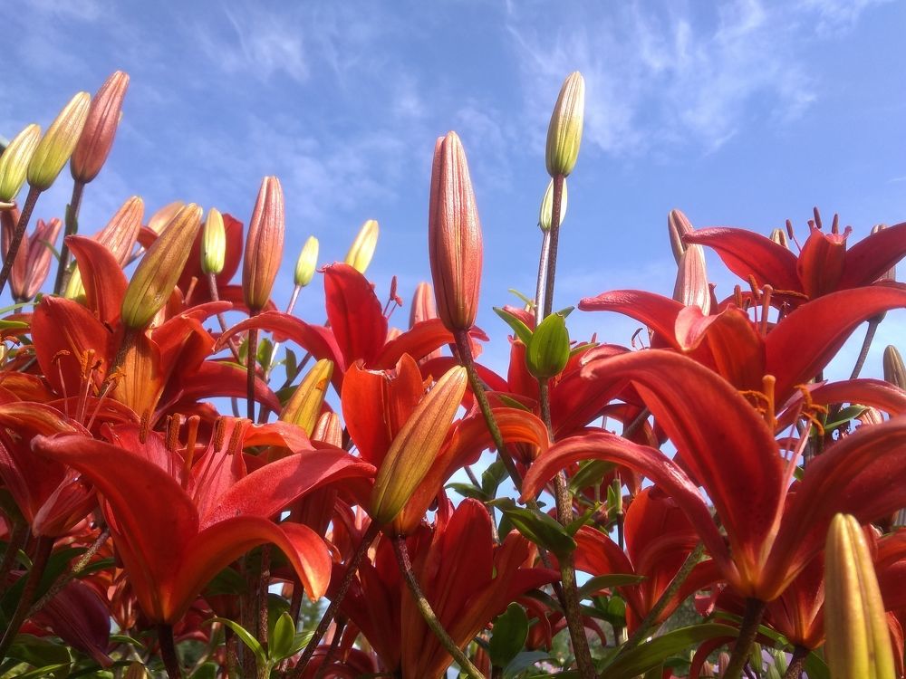 Фотография автора Василий Здоровецкий