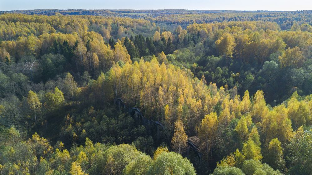 Photograph by Вадим Сташкевич