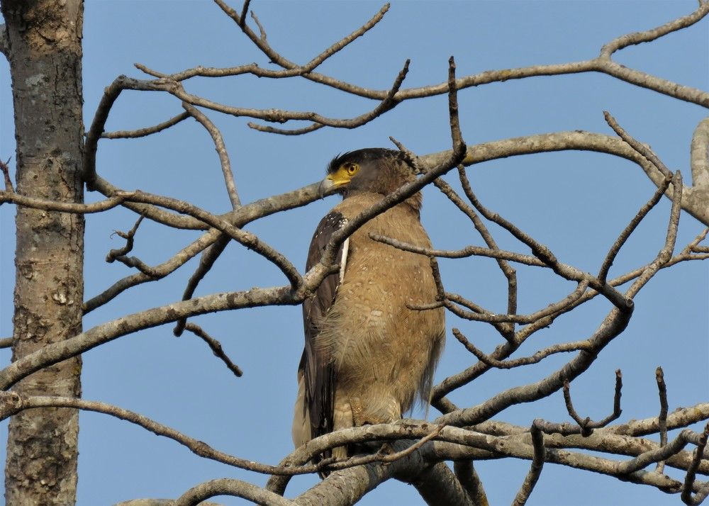 Photograph by ANISH BISWAS