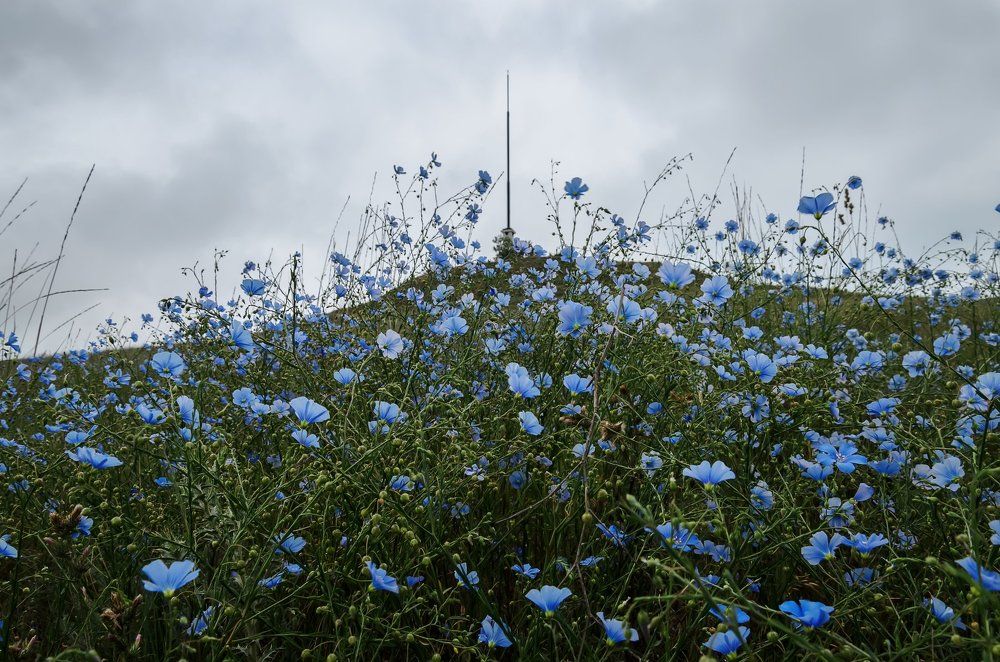 Photograph by Анатолий Щербак