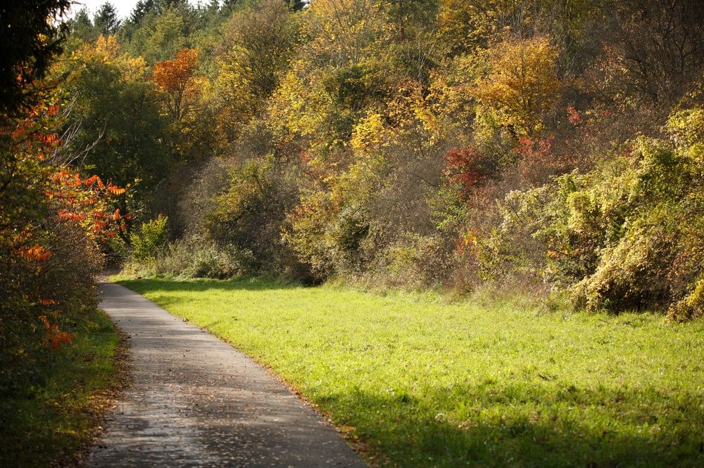 Photograph by Marc Schöner