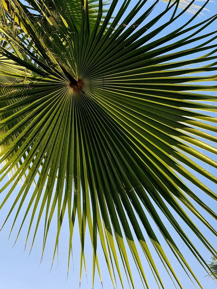 Фотография автора Elvira Cutler