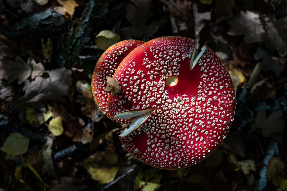 Photograph by Сергей Фадин