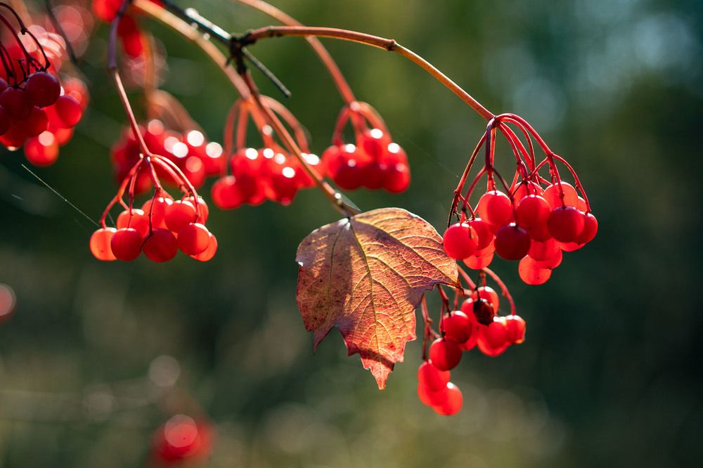 Photograph by Сергей Фадин