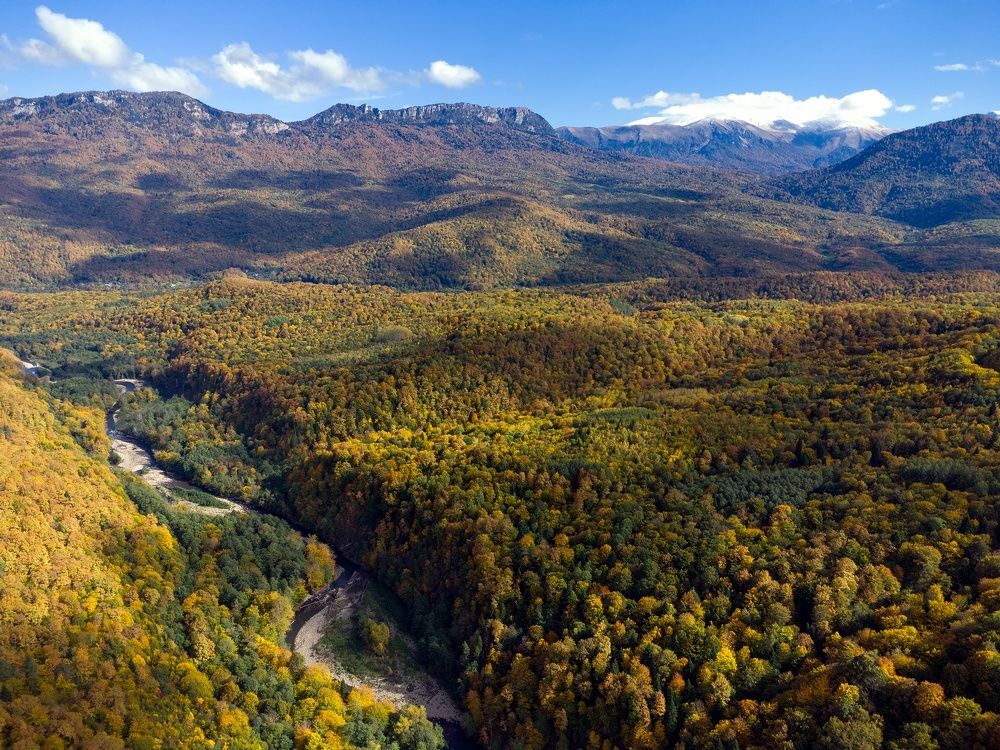 Фотография автора Сергей Павлов