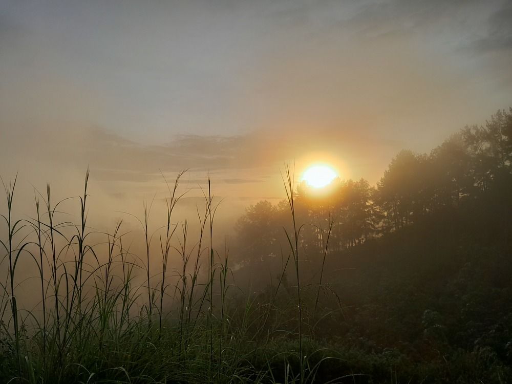 Matahari Subuh Menyapa Alam