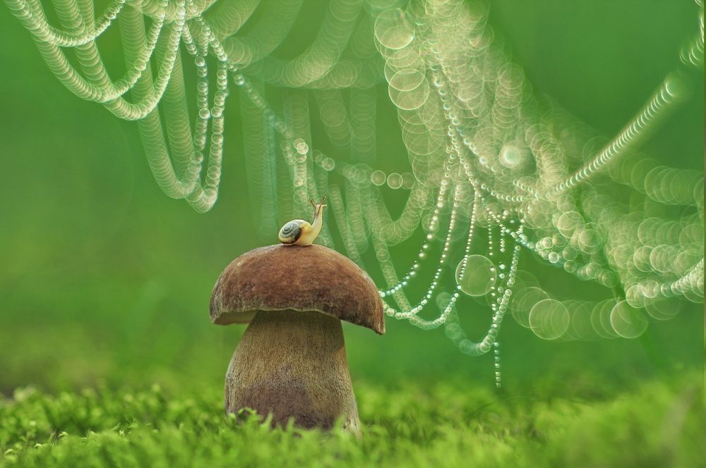 Photograph by Александр Гвоздь