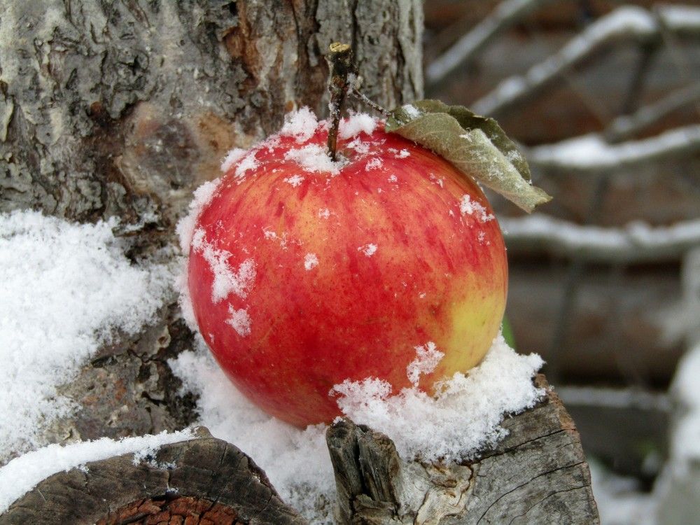 Photograph by Владимир Перминов