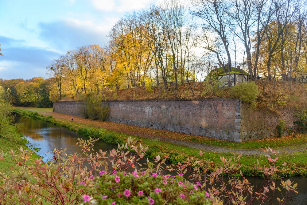 Фотография автора Николай Пугаев