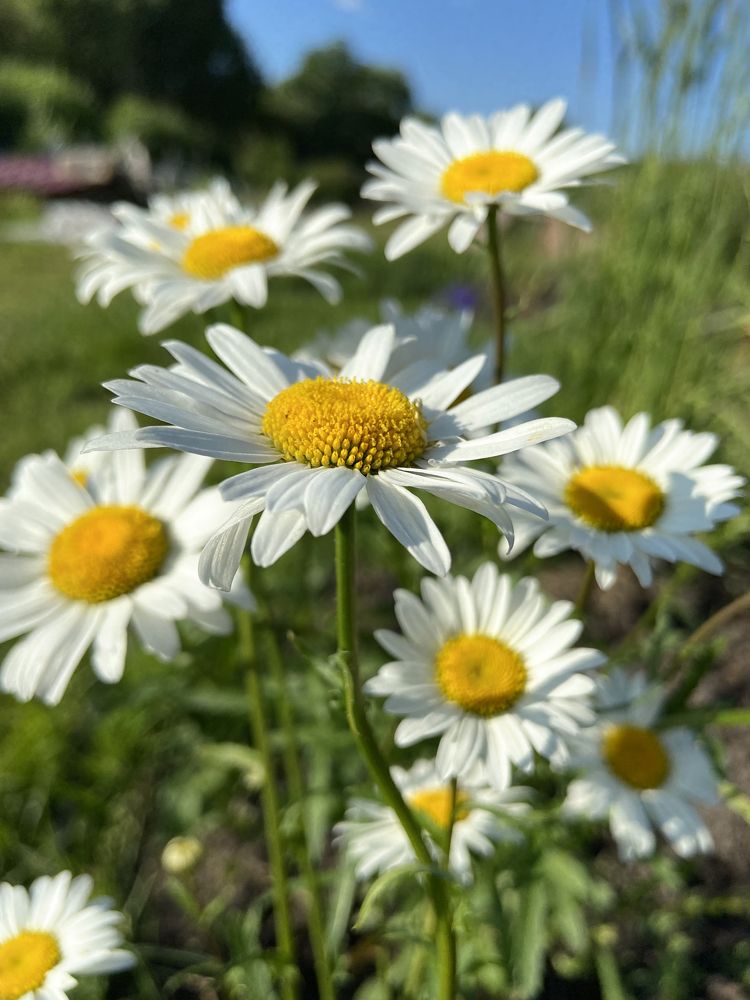 Photograph by Ольга Потачева