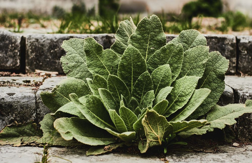 Photograph by Женя Жданова