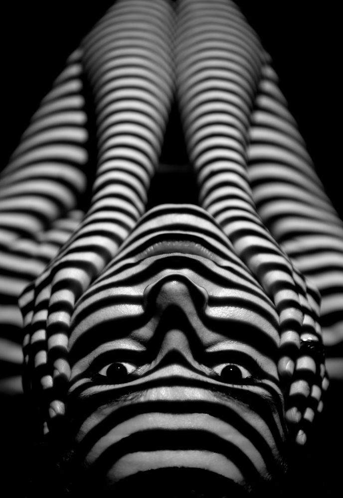 Photograph by Светлана Салмина