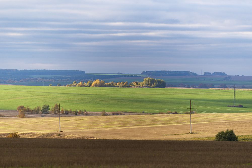 Photograph by Эдуард Шадров