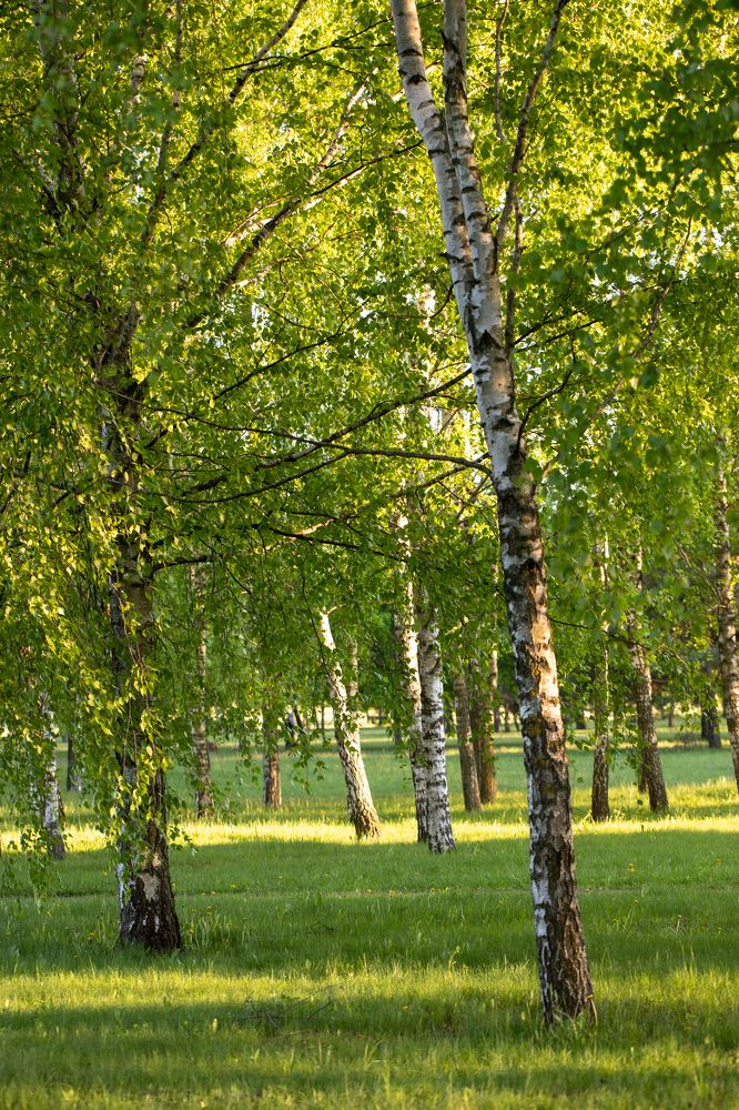 Photograph by Елена Иванова