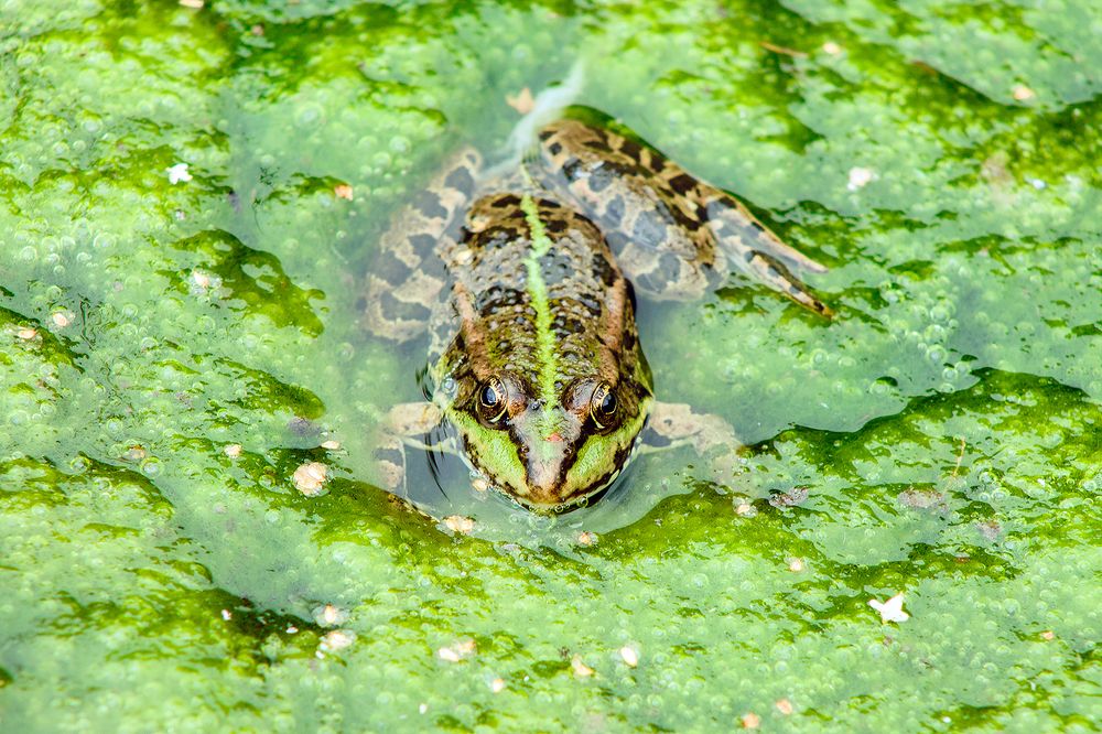 Photograph by Юлия Ташлыцкая