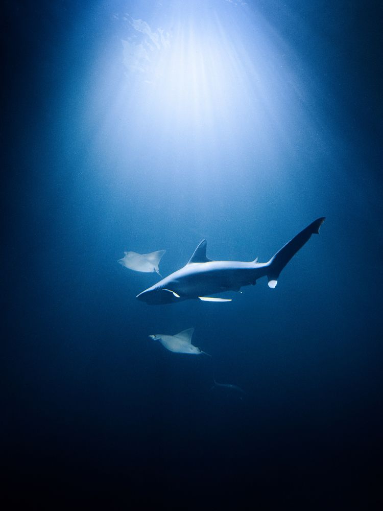 Photograph by Ирина Семёнова