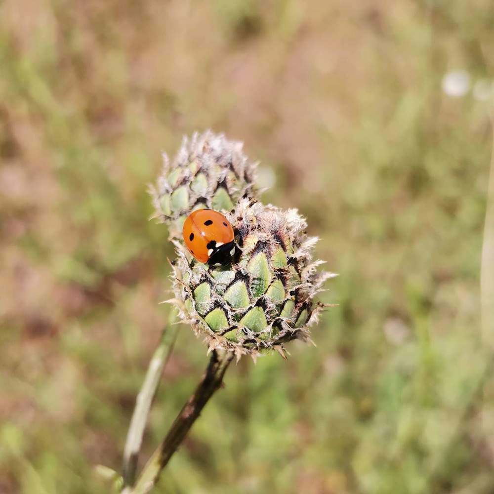 Photograph by Екатерина Супраненок