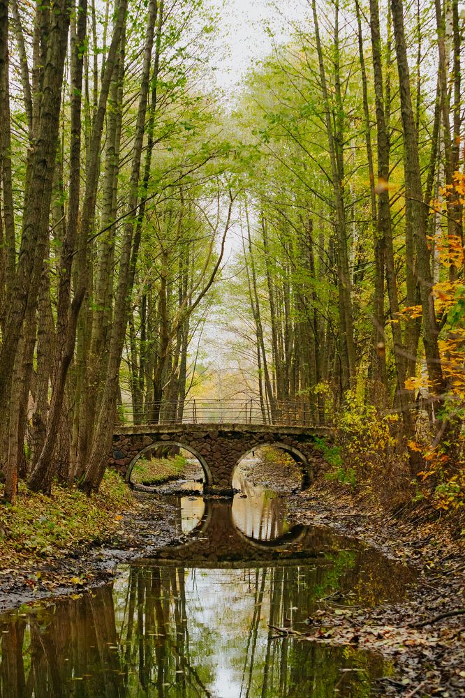 Photograph by Елена Иванова