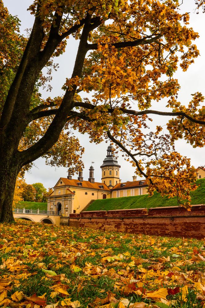 Золотая осень в Несвиже.