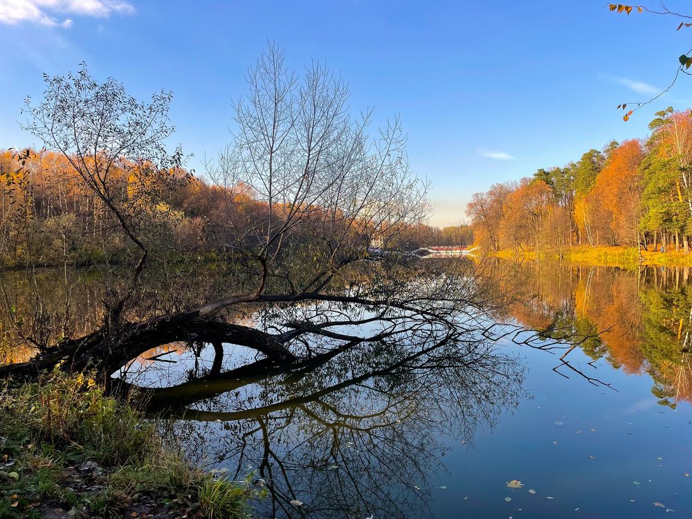 Краски осени