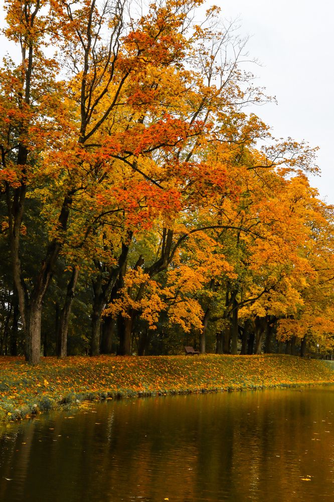 Осенний  Несвижский парк.