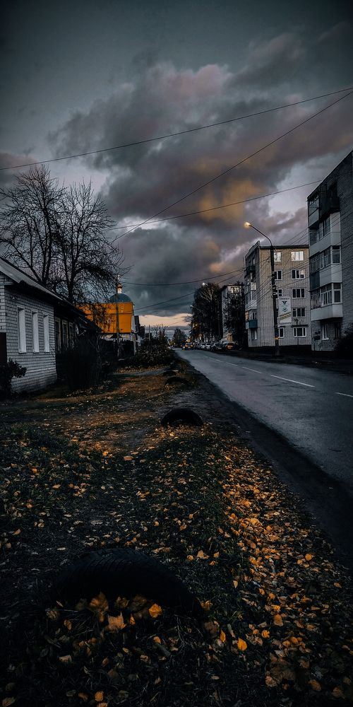 Photo #8247517