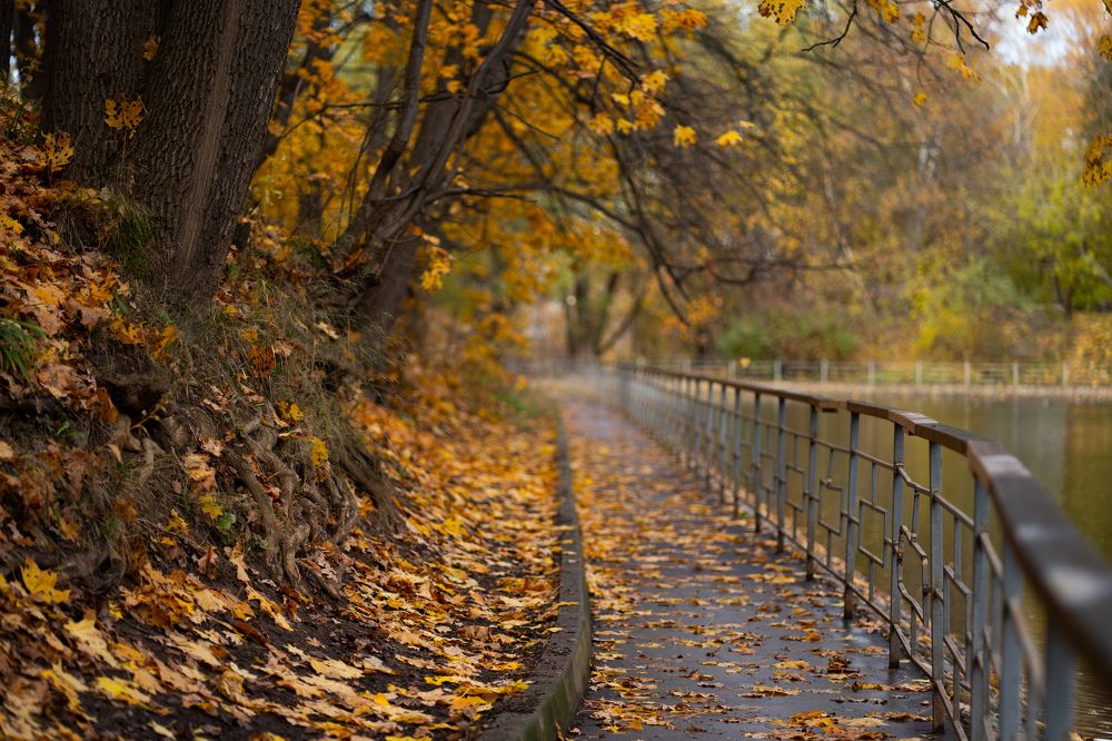 Photograph by Светлана Зимина