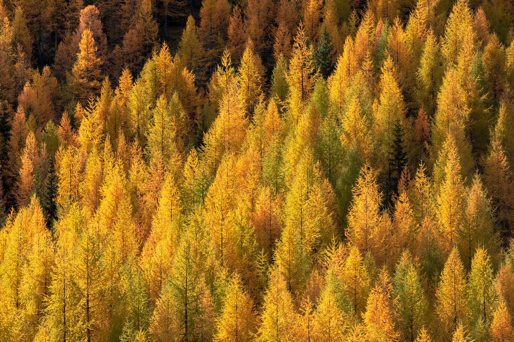 Photograph by Евгения Чех