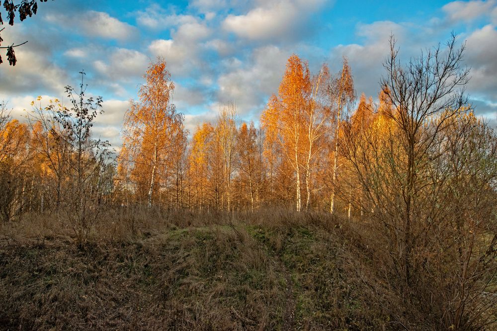 Золотая осень.