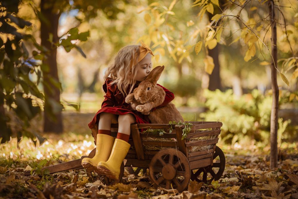 Photograph by Валерия Городова