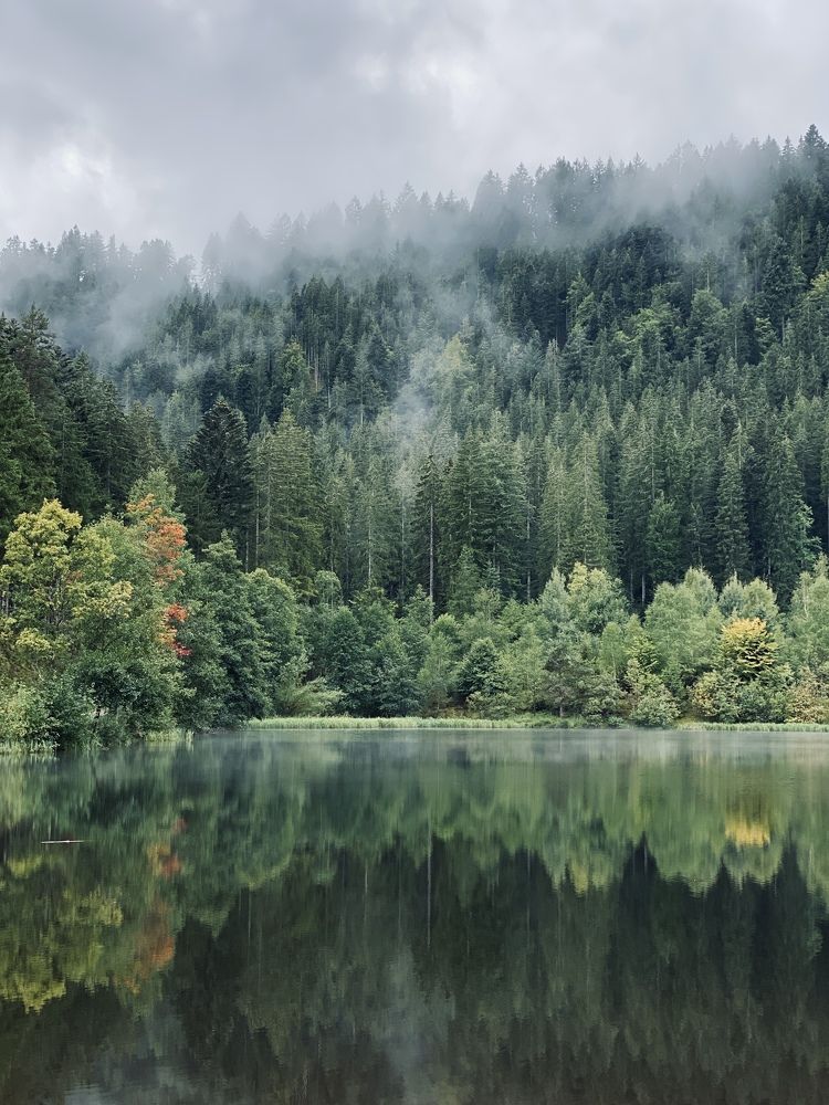 Photograph by Наталья Посашко