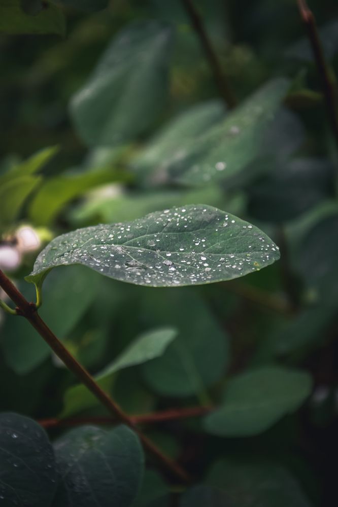 Photograph by Ксения Прохорова