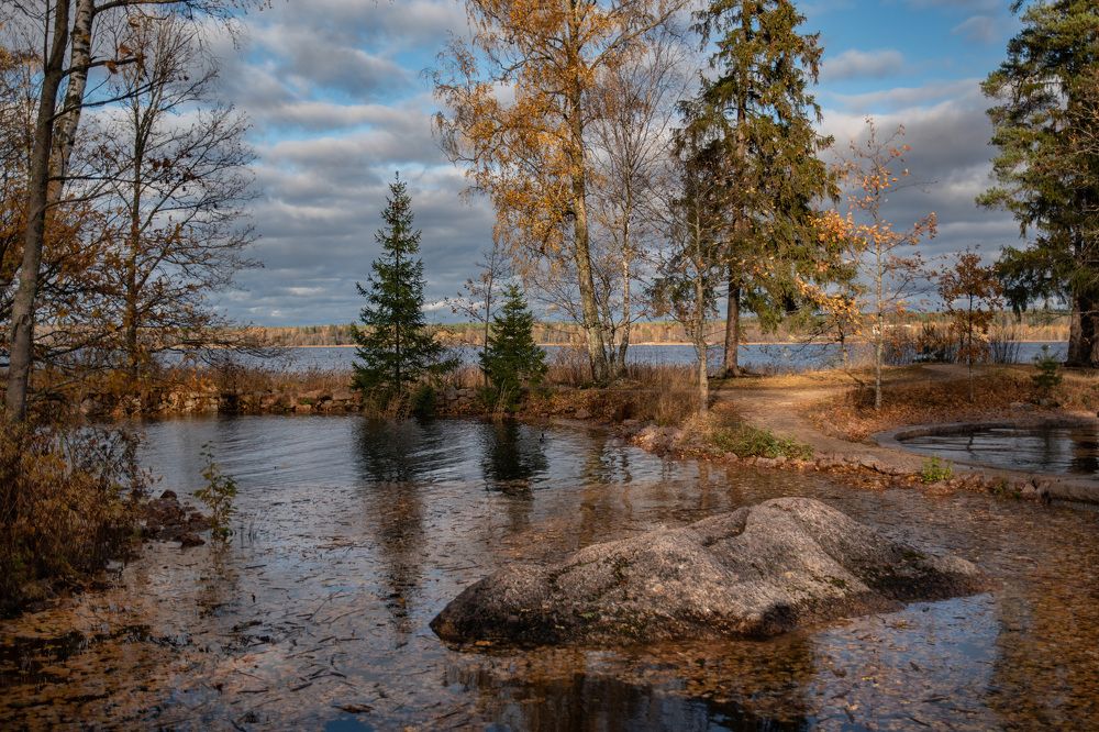Фотография автора Рохмистрова Мария