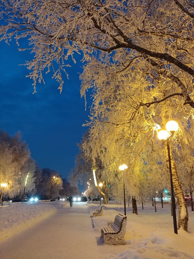 Photo #8247801