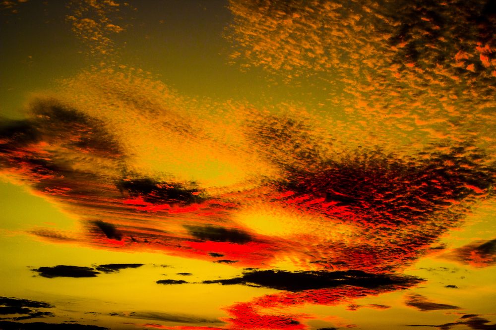 Photograph by Régis Santos