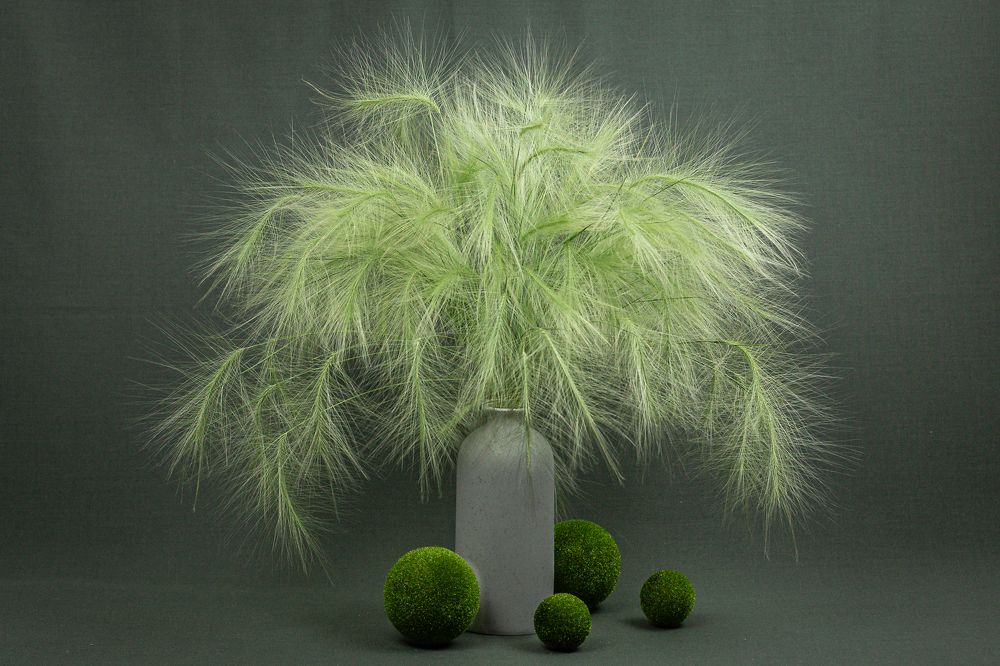 Photograph by Марина Бердяева