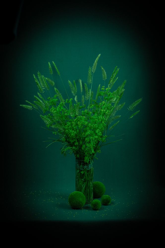 Photograph by Марина Бердяева