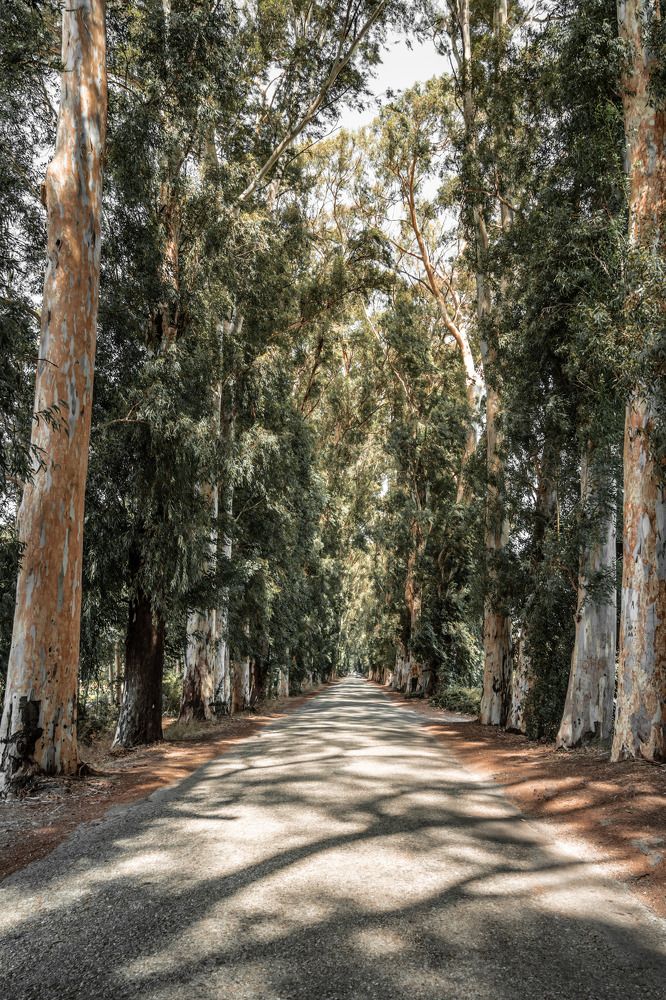 Photograph by mevlüt bilir