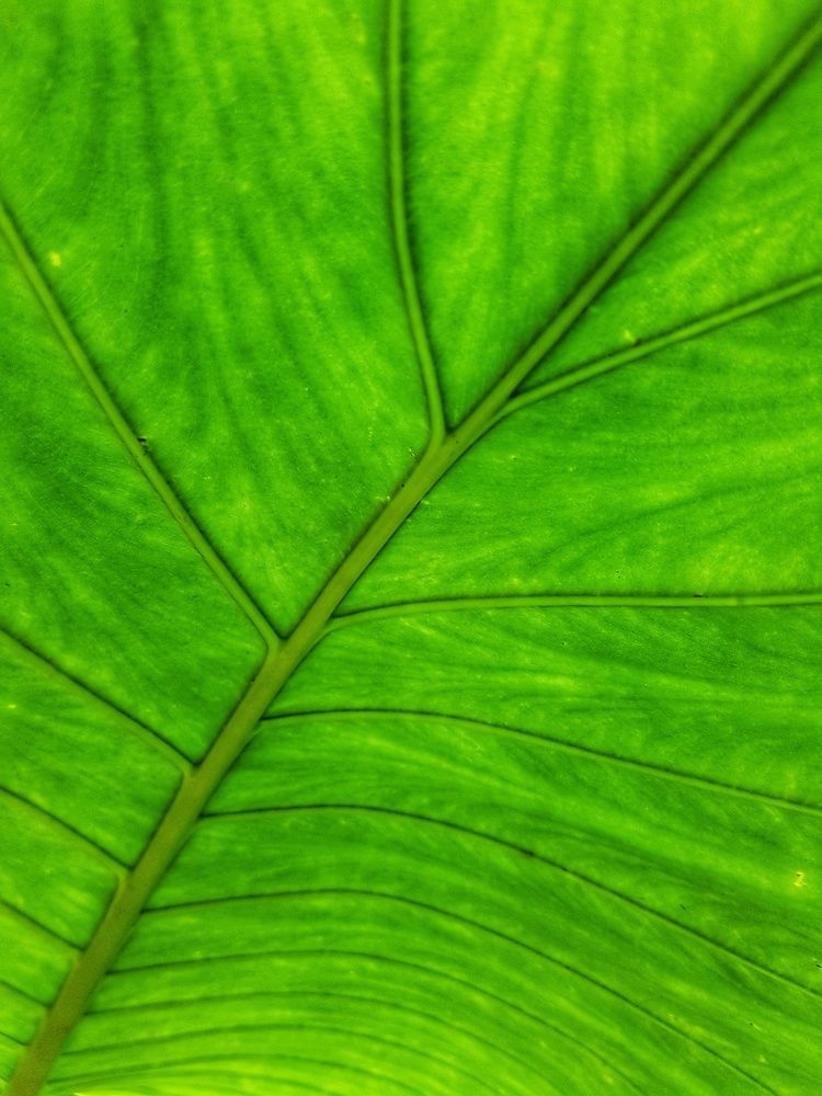 Photograph by Alexander Mishuris