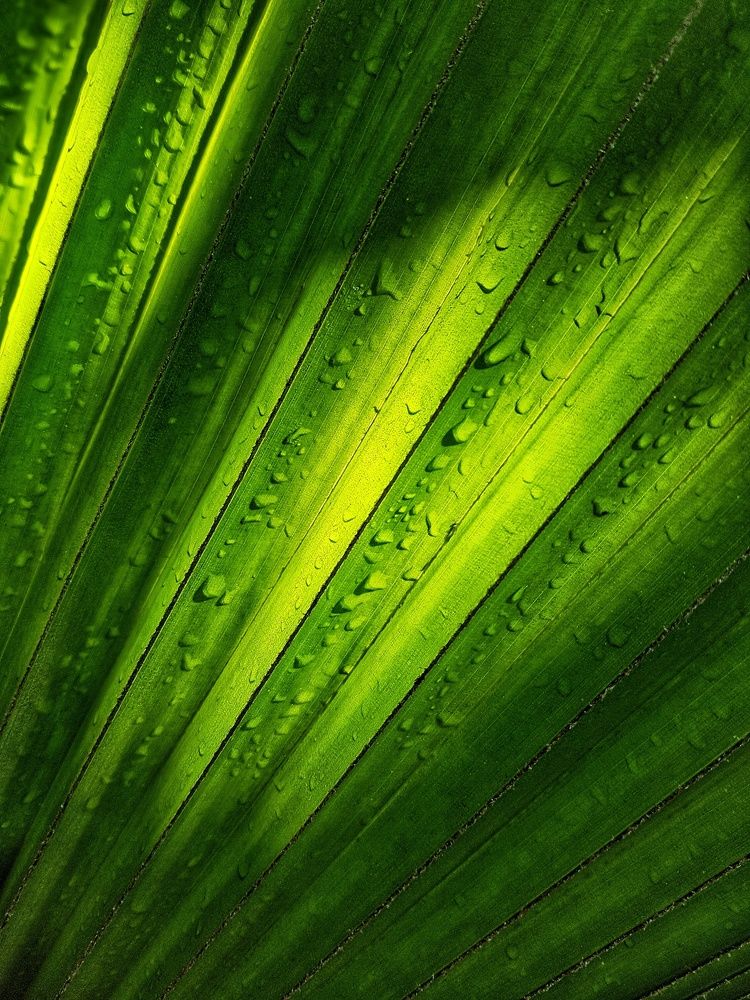 Photograph by Alexander Mishuris