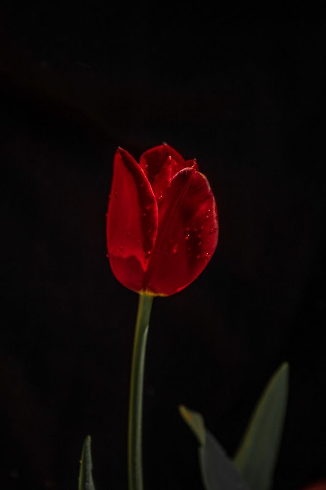 Photograph by mevlüt bilir