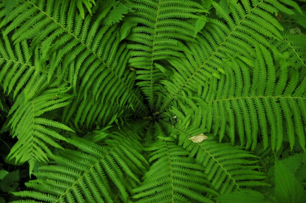 Photograph by Дерезюк Юрий Александрович