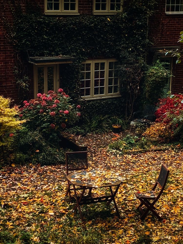 Фотография автора Yana Balatskaya