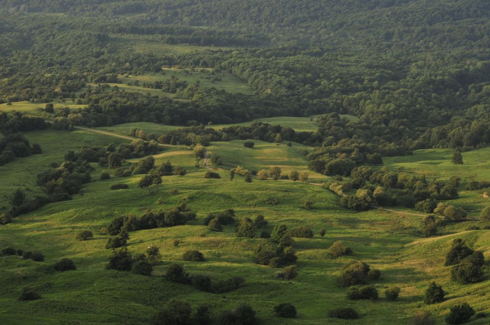 Photograph by Дерезюк Юрий Александрович
