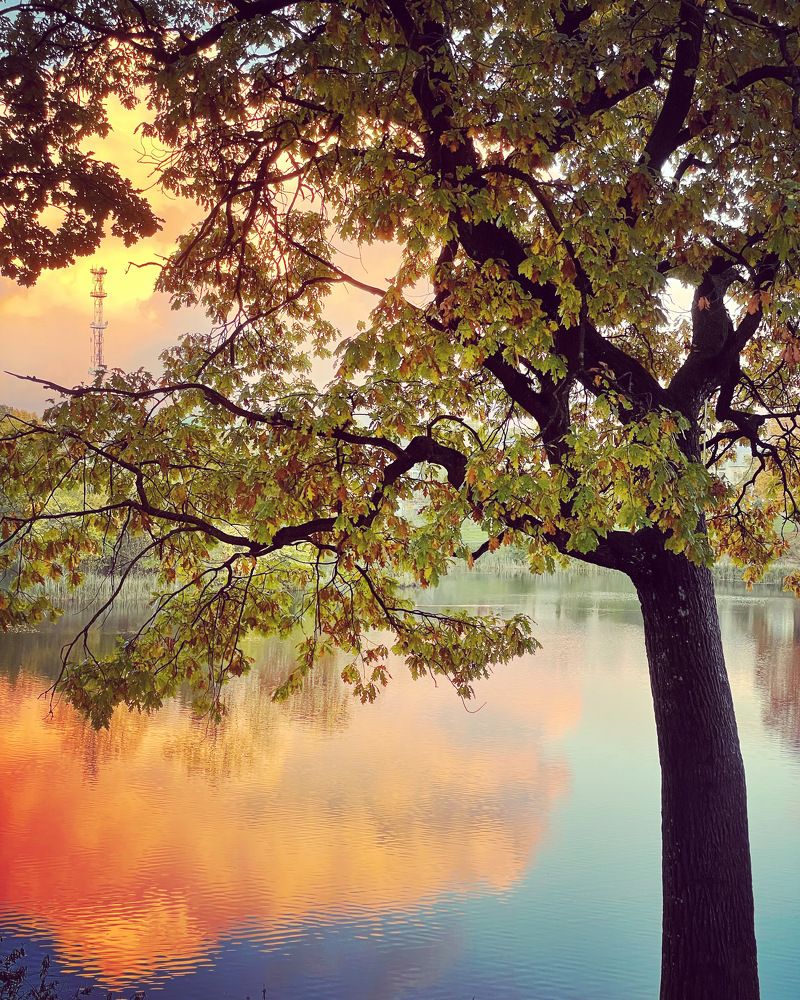 Photograph by Александра Кулеш