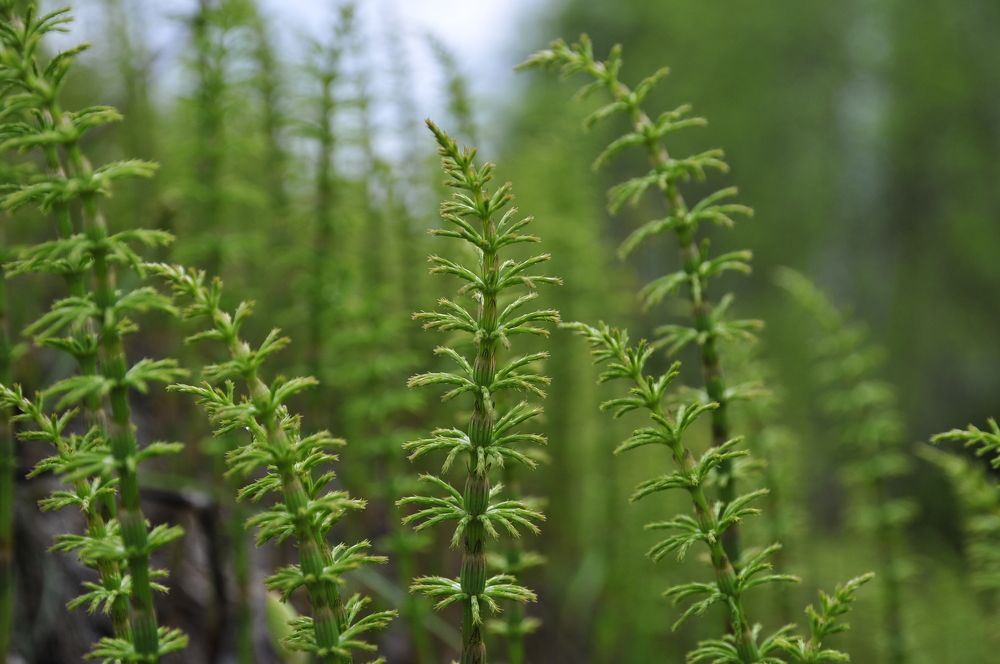 Photograph by Дерезюк Юрий Александрович